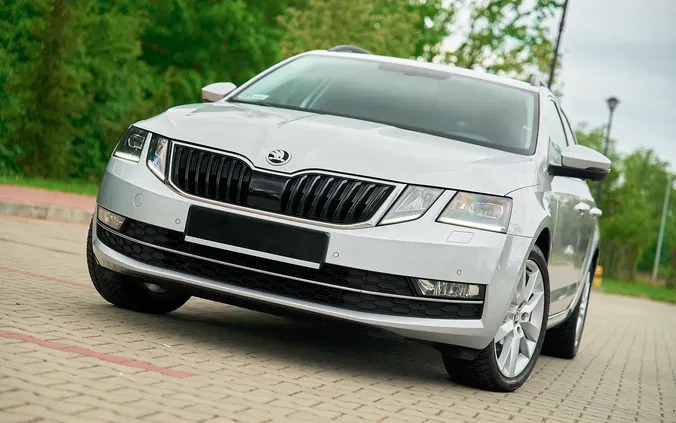 skoda Skoda Octavia cena 55900 przebieg: 205000, rok produkcji 2017 z Płock